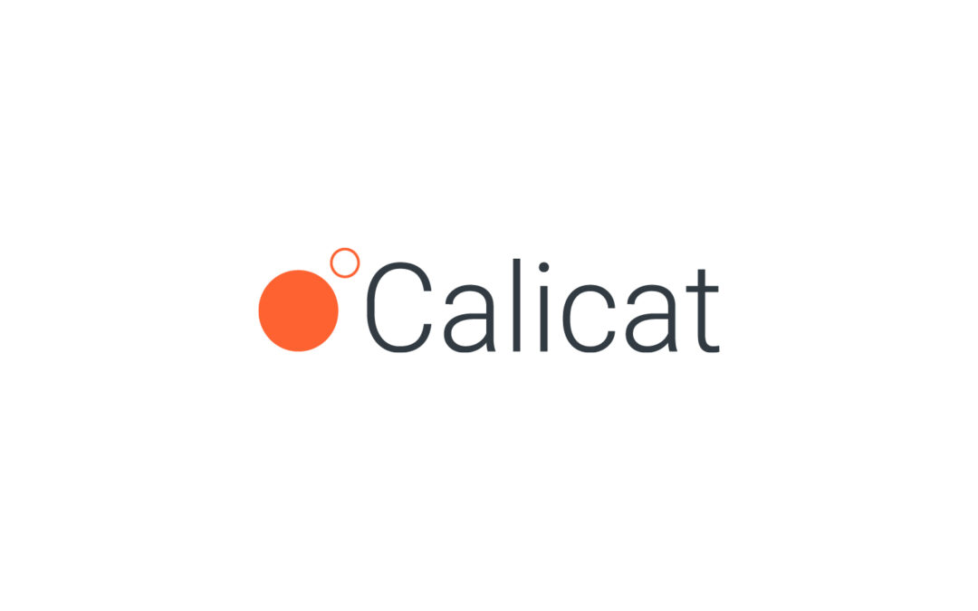 Ion Power leverages Calicat’s Testing and Modeling as a Service (TMaaS) to develop high performance recycled membranes